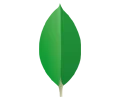 MongoDB