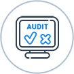 Website Audit