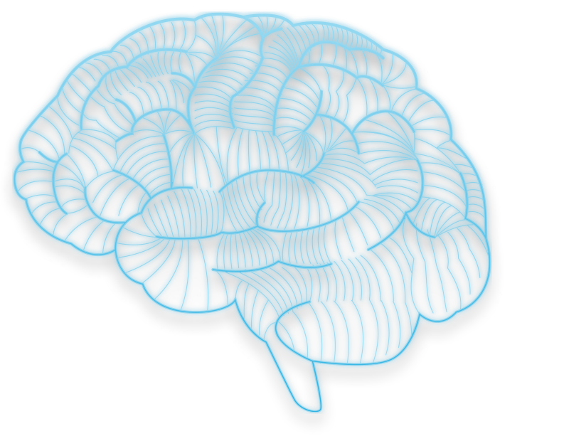 brain-top-banner-img